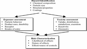 Human Health Effects Diagram