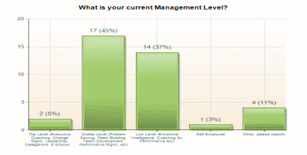 Management Level