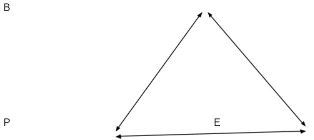 The triadic reciprocal determinism in action