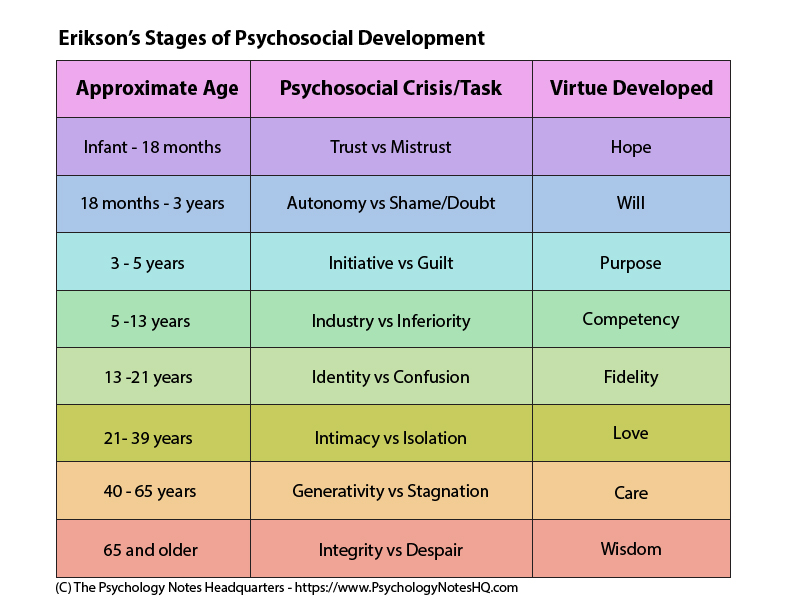 Erikson stages of psychosocial development