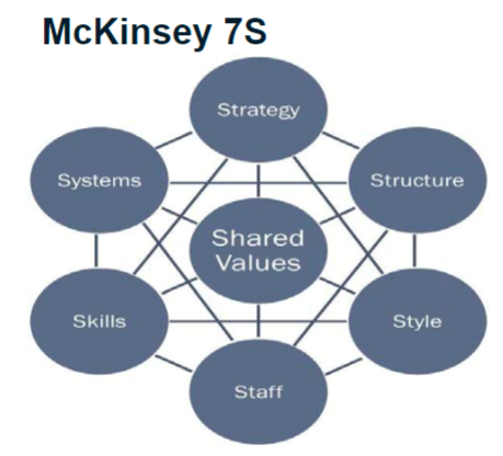 Model of the 7S structure